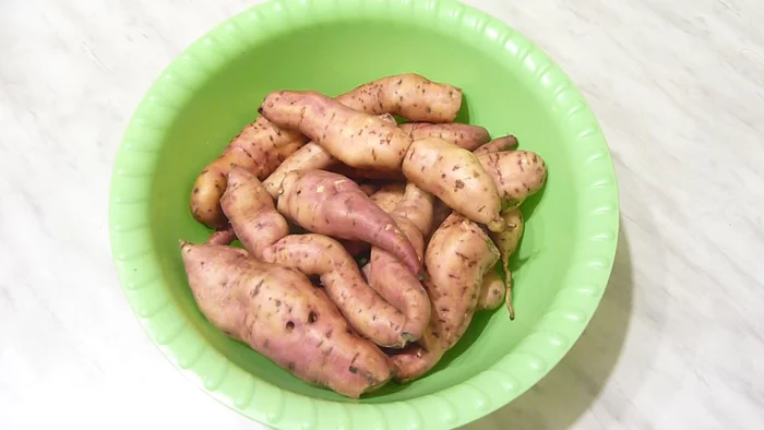 I planted sweet potatoes for testing - I’m sharing my experience - My, Sweet potato, Recipe, Sweet potato, Video, Longpost, Cooking, Video recipe