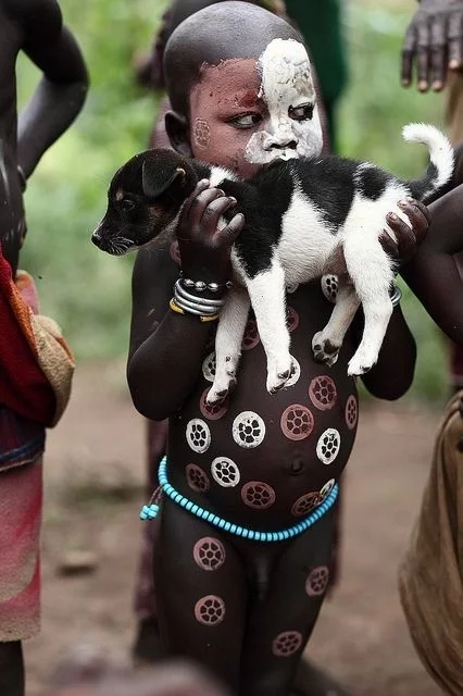 Boy and dog - Dog, Puppies, Boy, Dinner, Good boy, Aborigines