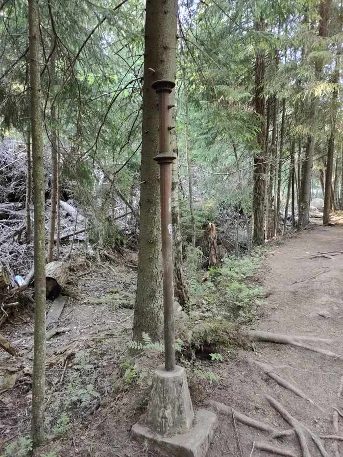 Let's do an off-road bike ride. June 2020 - My, A bike, Sertolovo, Pokatushki, Dirt, Video, Longpost