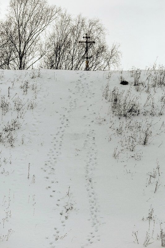 Белозерск- аромат спокойствия и неспешности - Провинция, Репортаж, Фотография, Белозерск, Общество, Баян, Путешествия, Длиннопост