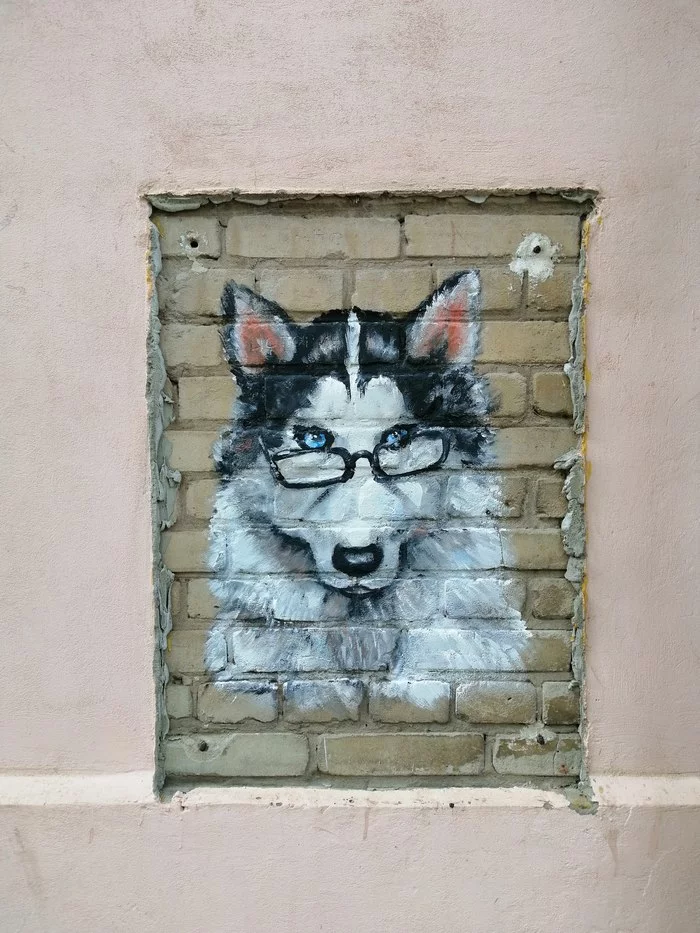 Post #7557876 - My, Kharkov, The photo, Mobile photography, Graffiti, Dog