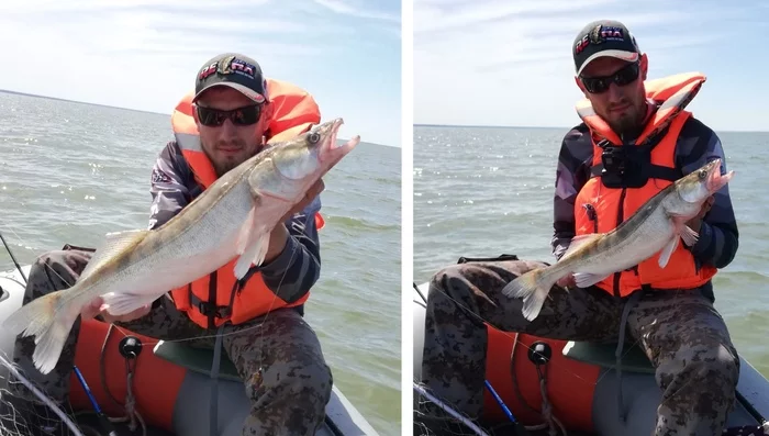 Should I extend my arms or not? - My, A fish, Fishing, The photo, Novosibirsk, Fish perch