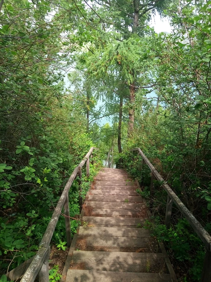 Stairs to the lake - My, Belo, Relaxation, Weekend, Asus zenfone 5