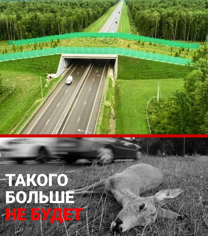 ,   -   , , , , 