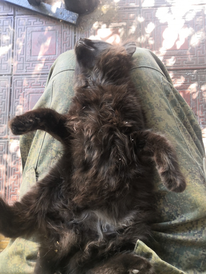 Присел в курилке