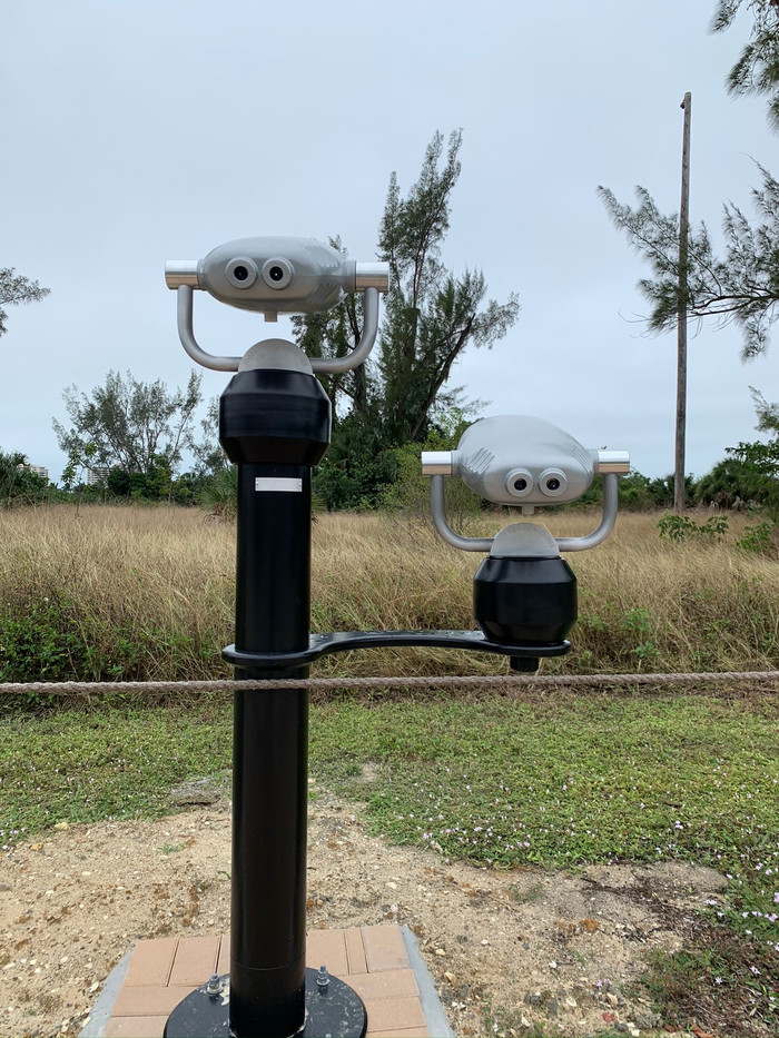 ��, �� ��� ���?