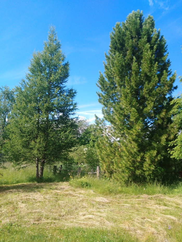 �� ���? ����� ����� ������