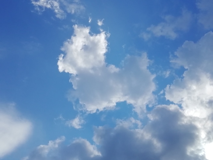 Cloud Terrier ,    , , , 