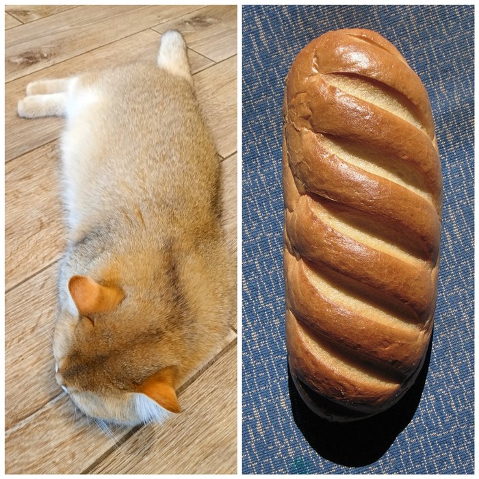 ����������. ��� ����. ��� �����