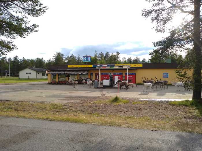 Typical gas station in Finland - My, Reindeer, Refueling, Finland, Lapland