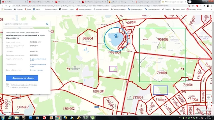 Истина дороже рейтинга - Моё, Вброс, Дезинформация, Правда или ложь, Мысли, Видео, Длиннопост, Хаски