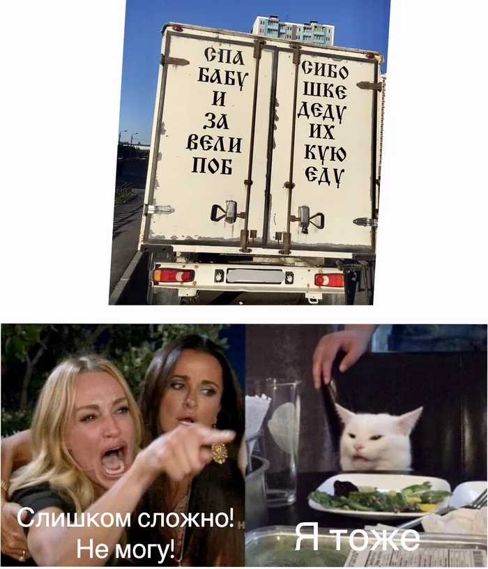 Мем кот и девушки