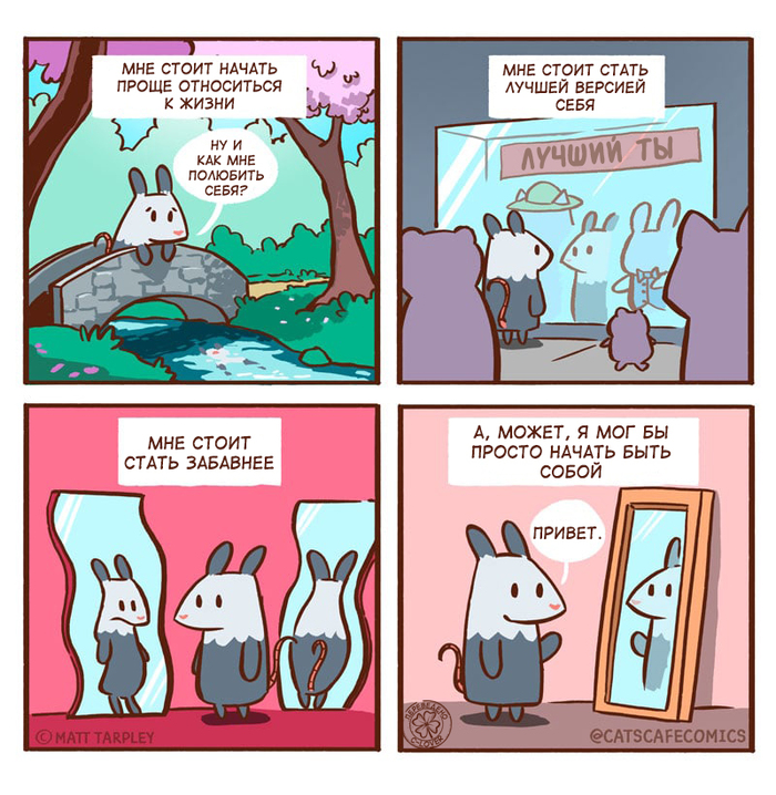  , ,  , Cats Cafe, Matt Tarpley