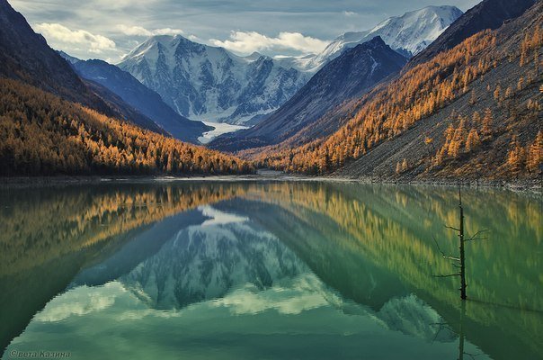 Красота Алтая - Россия, Красота, Республика Алтай, Горный Алтай, Длиннопост