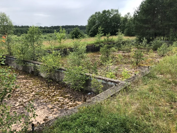 Remains of an ancient civilization... - My, Swimming pool, Abandoned, Ruins, Video