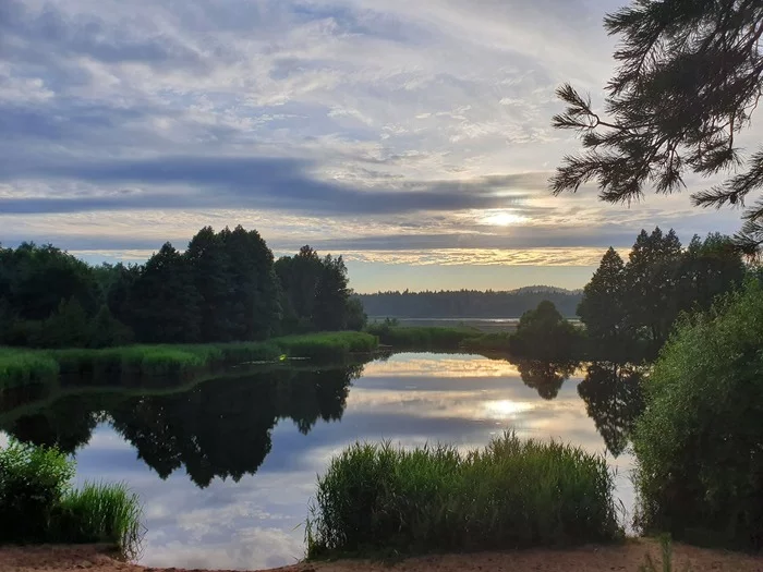 Sunset over the lake - My, Republic of Belarus, Nature, Swans, Sunset, Longpost