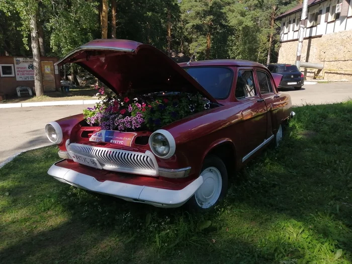 The second life of familiar things - My, Flower bed, Automotive classic, Flowers, Longpost