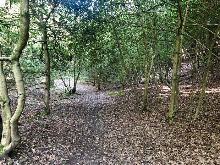     Heddon Valley,  ,  ( 2) , , ,  , ,  , ,   , 