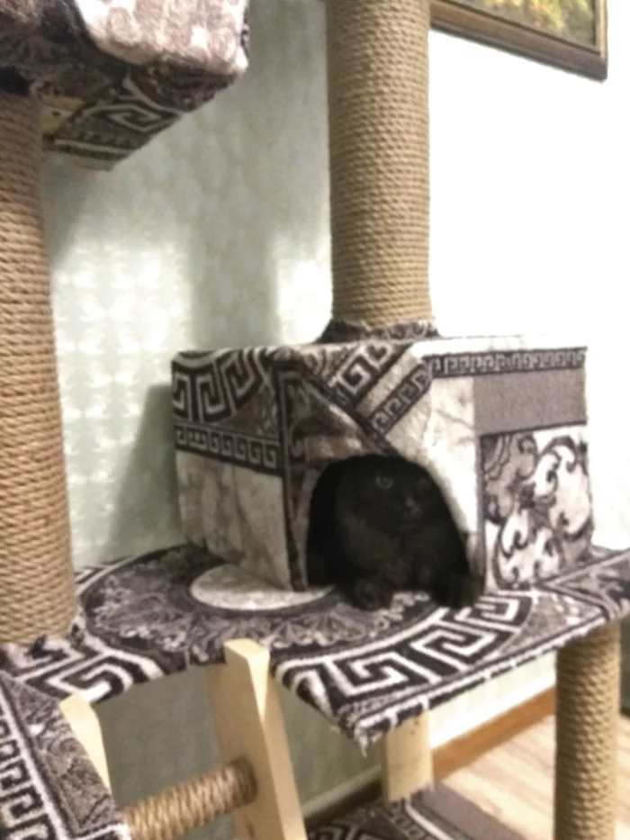 Кошачий дом своими руками для дома и дачи,кошкин дом
