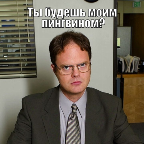 Penguins - Penguins, Dwight Schruth, TV series office, Longpost