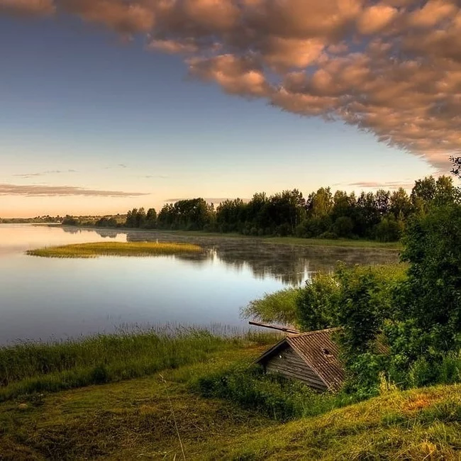 Абонент временно недоступен... - Моё, Рыбалка, Рыба, Отдых, Река, Природа, Лес