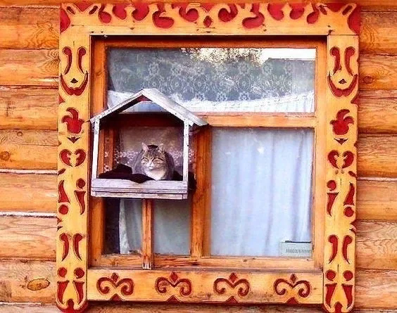 Bird's dining room - cat, Trough, Platbands, Window, Izba