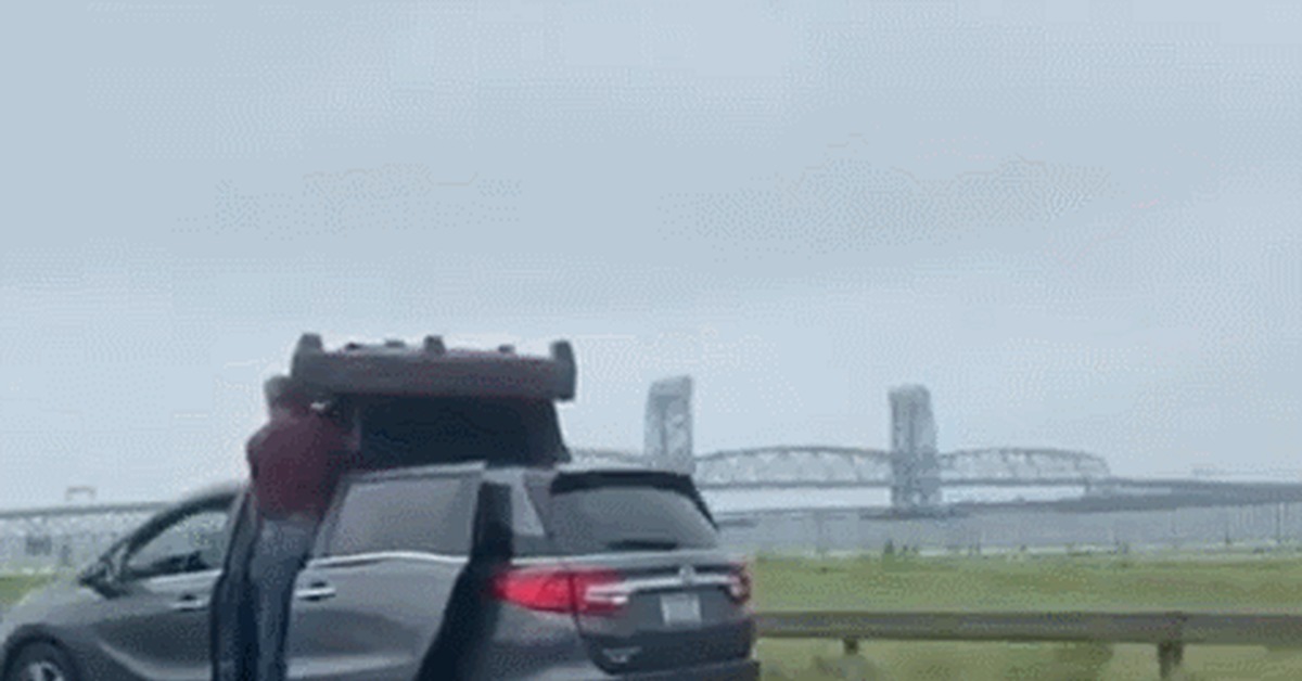 Safety - Auto, Sofa, Shipping, Bravery and stupidity, Furniture, Savvy, GIF