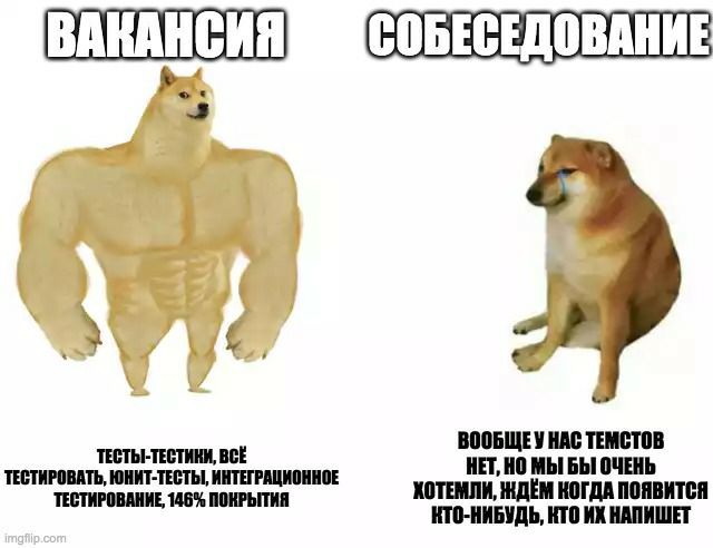 Тесты