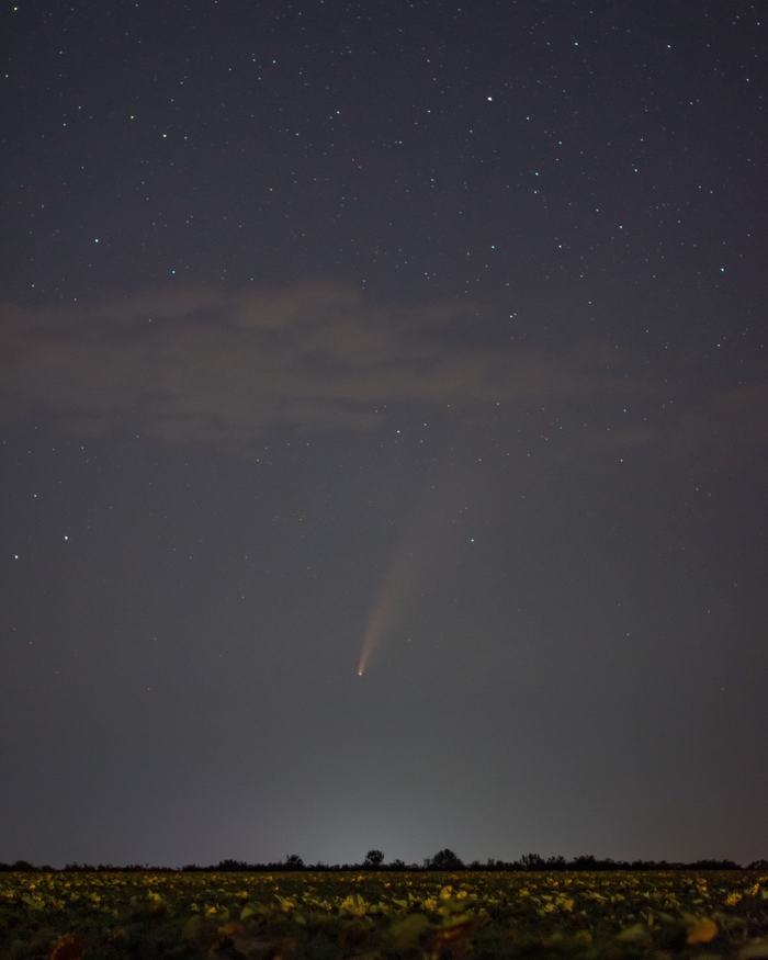 Photo of comet C/2020 F3 (NEOWISE) - My, Comet, Night, The photo, Stars, Neowise