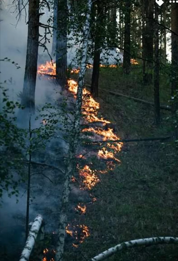 Fires in the reserve - My, Fire, Bashkortostan, Longpost