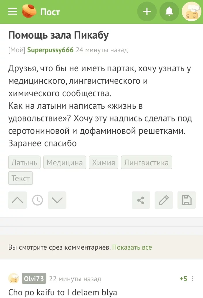 Я не удержался... - Моё, Пост, Комментарии, Тату, Перевод