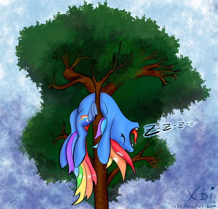 Flies and sleeps - My little pony, Rainbow dash, Xbi