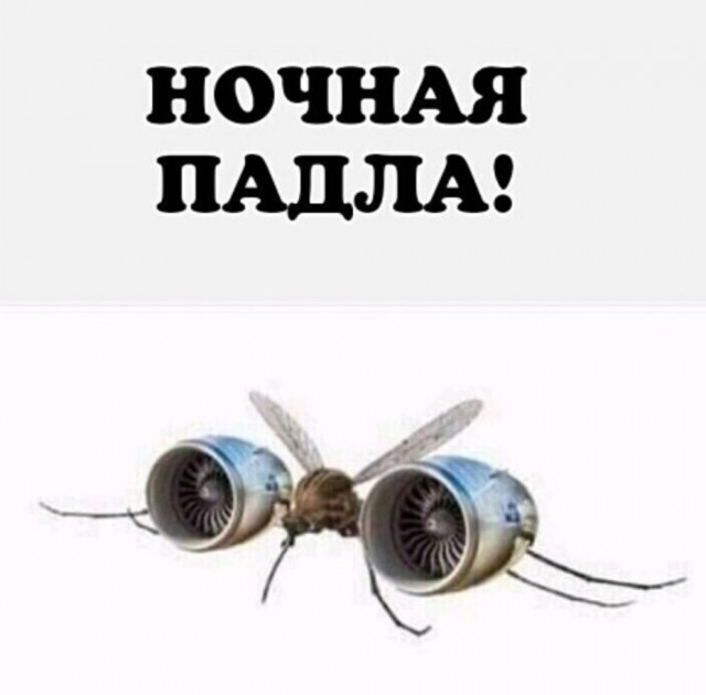 About mosquitoes - Picture with text, Humor, Mosquitoes, Turbine, Night