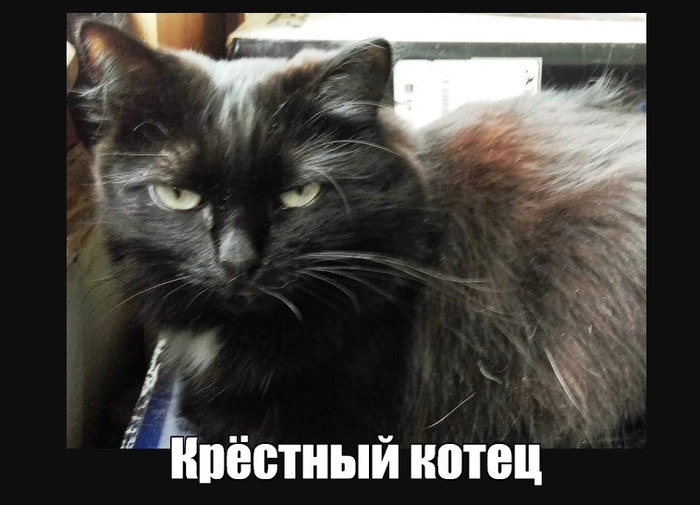 Крёстный котец. Заговор