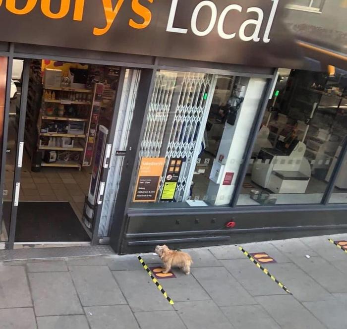 �������� ��� �����-������ ��������� ��������������� �������!