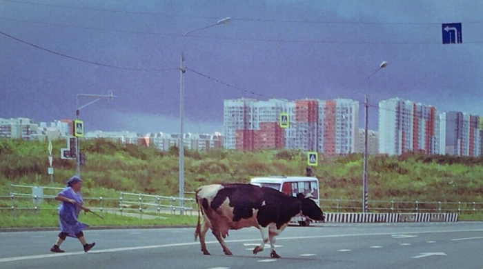 �� ������