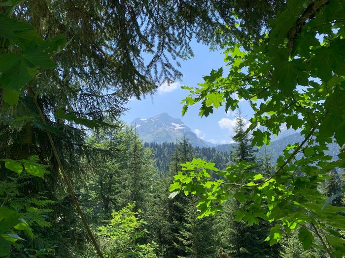 Lake Kardyvach - My, The mountains, Travels, Hiking, Lake, Longpost