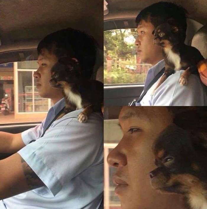   , , 