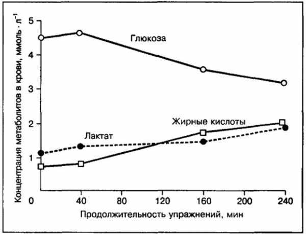 Разбор популярного мифа - Моё, Похудение, Тренировка, Ликбез, Видео, Длиннопост