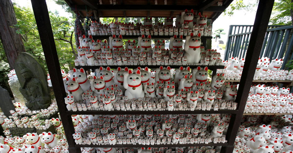 Страна с храмом кошек. Страна с храмом кошек. Кошки на службе. Готоку дзи храм. Страна с храмом кошек.