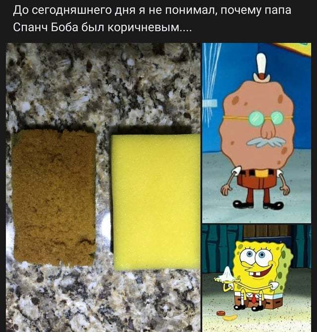 Really - SpongeBob, Sponge, Sponge, Picture with text