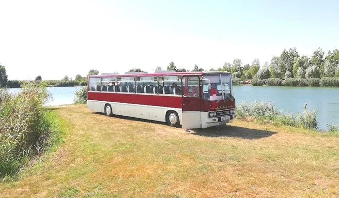 Favorite bus of Soviet schoolchildren - the USSR, Hungary, Bus, Industry, Production, School