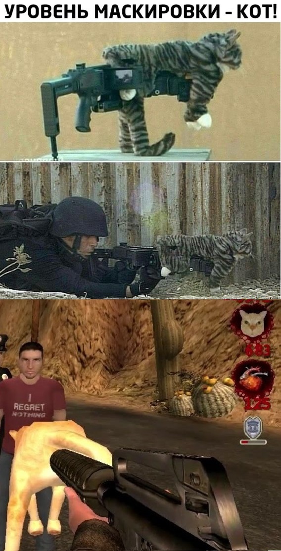 Cat in real life - Weapon, Postal, Computer games, Strange humor, Picture with text, cat