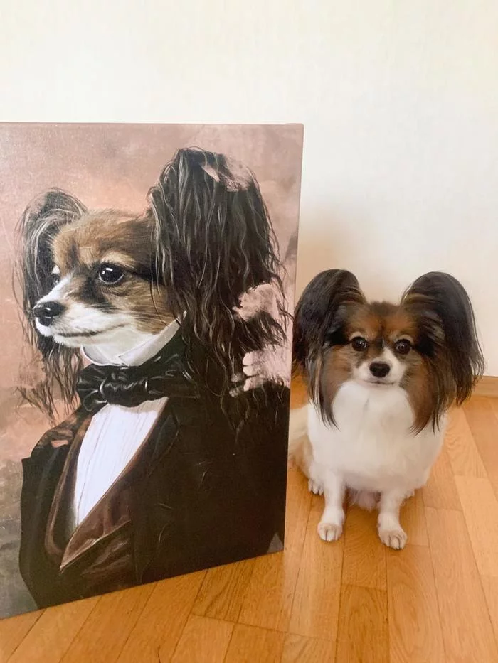 For My Man - My, Portrait, Pets, Dog