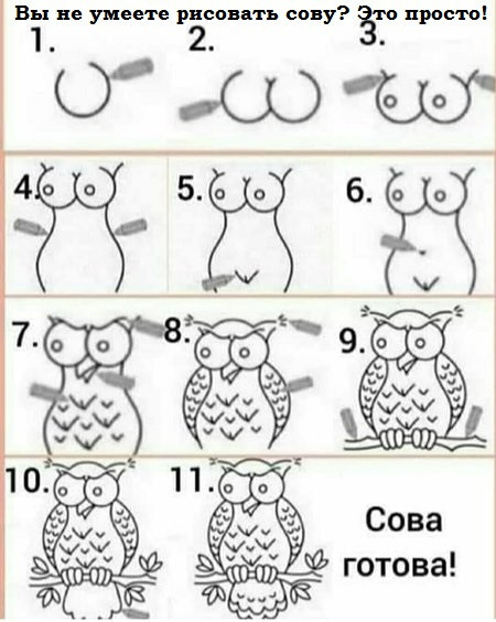 Drawing an owl - Drawing, Owl, Humor, Just