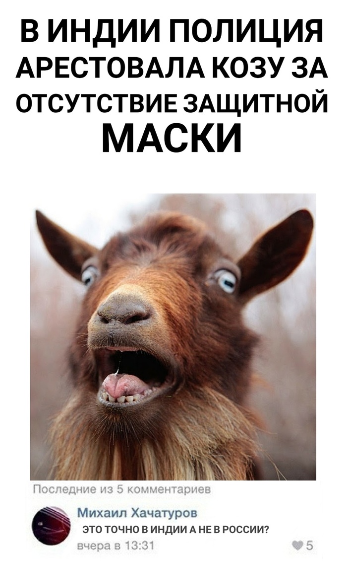 ����� ���� ���������!