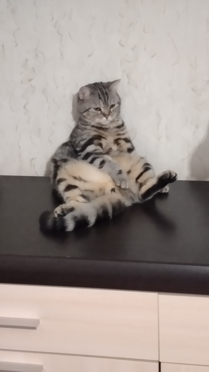 �������������