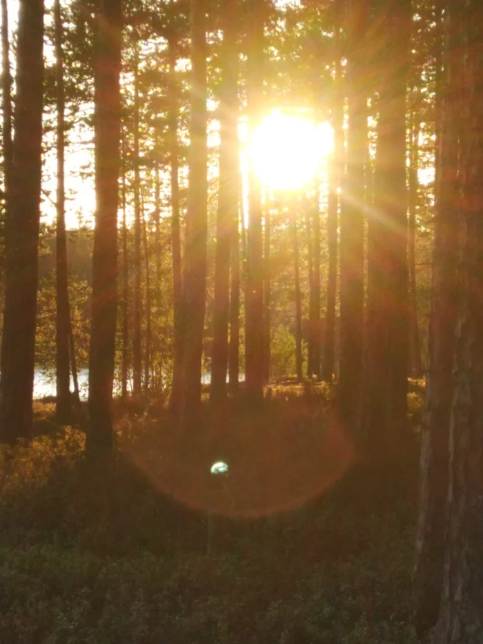 Karelia, Lake Keret - Карелия, Keret, Tourism, The nature of Russia, Beginning photographer, Longpost, The photo