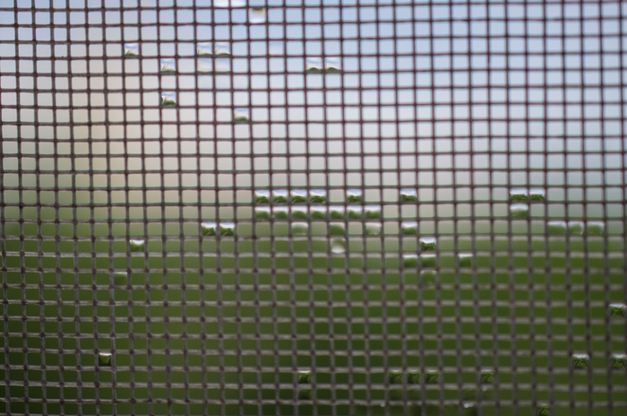 Дождевая "перфокарта"