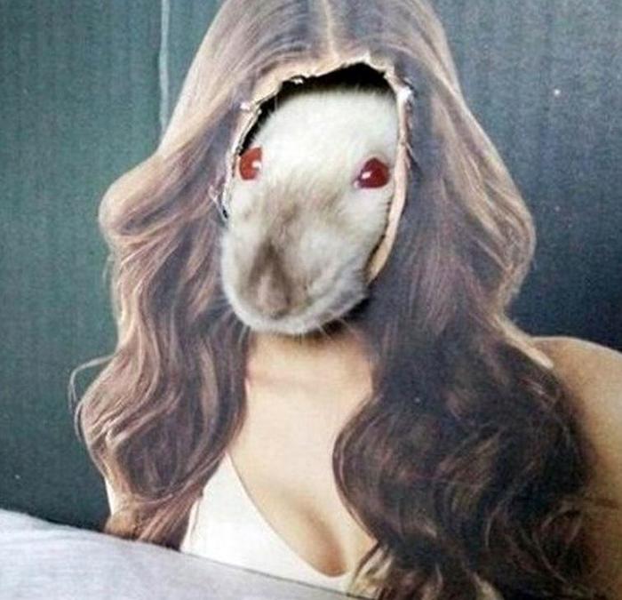 А вы симпотичны